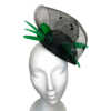 Black parrot – Image 2