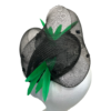 Black parrot – Image 4