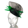 Black parrot – Image 6